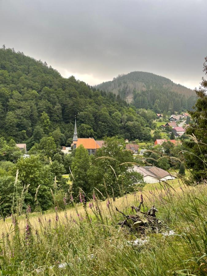 Gemuetliches Apartment Mit Kamin Und Wohnkueche Herzberg am Harz Exteriör bild
